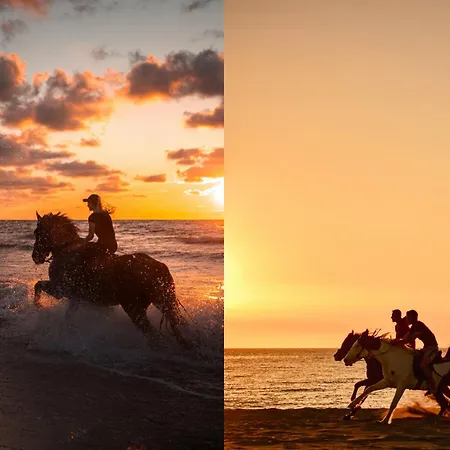 Przy Plazy - Posesja Plazowa By Posesja